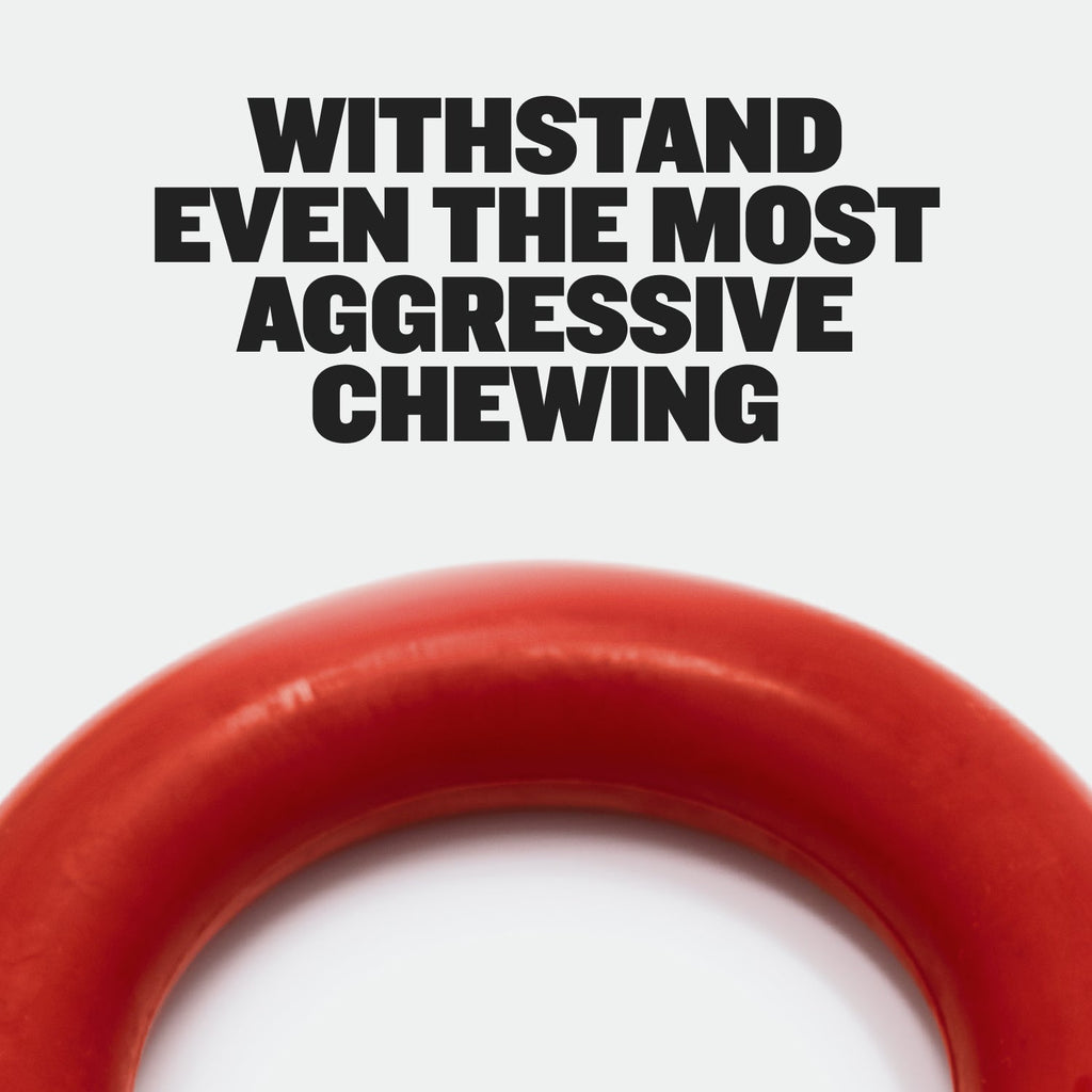 Heavy-Duty Dog Chew Ring Toy product image 8