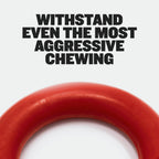 Heavy-Duty Dog Chew Ring Toy product image 8