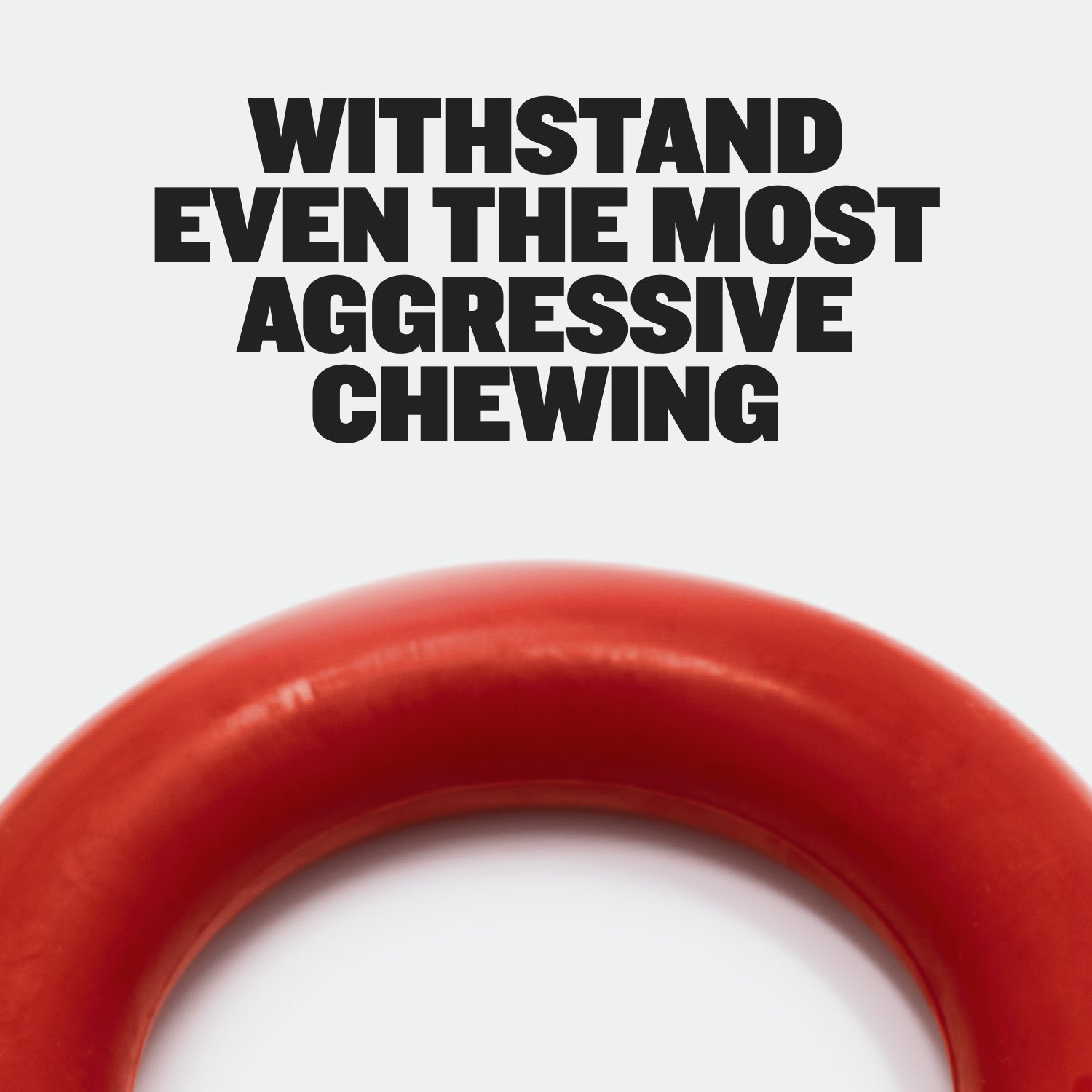 Heavy-Duty Dog Chew Ring Toy product image 8