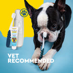 Canine Dental Kit product image 14
