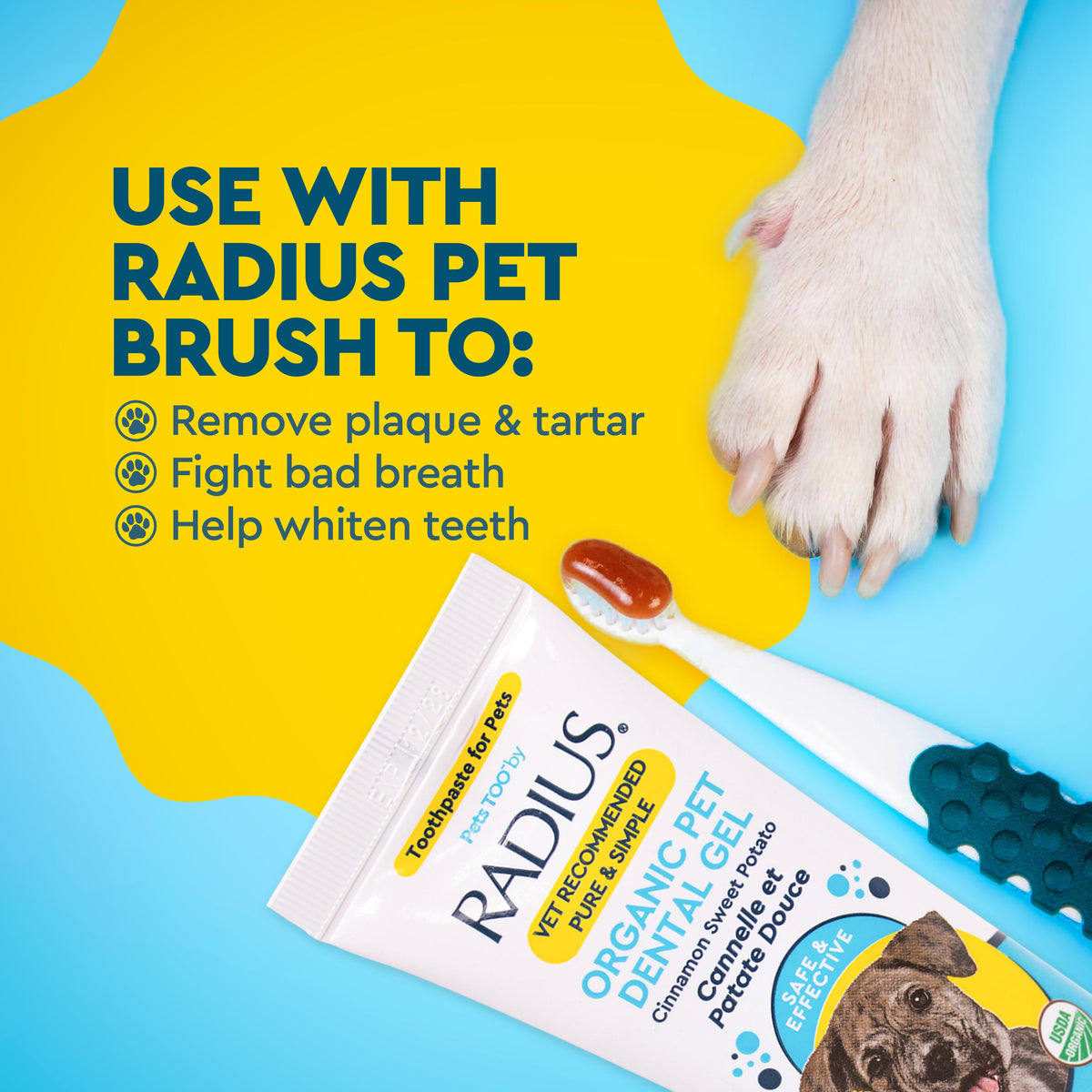 Canine Toothpaste product image 5