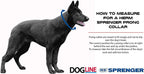 Prong Dog Training Collar product image 3