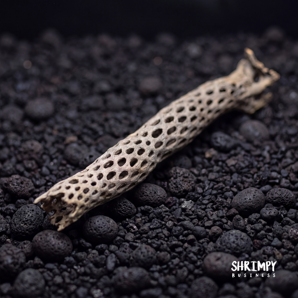 Aquarium Driftwood product image 1
