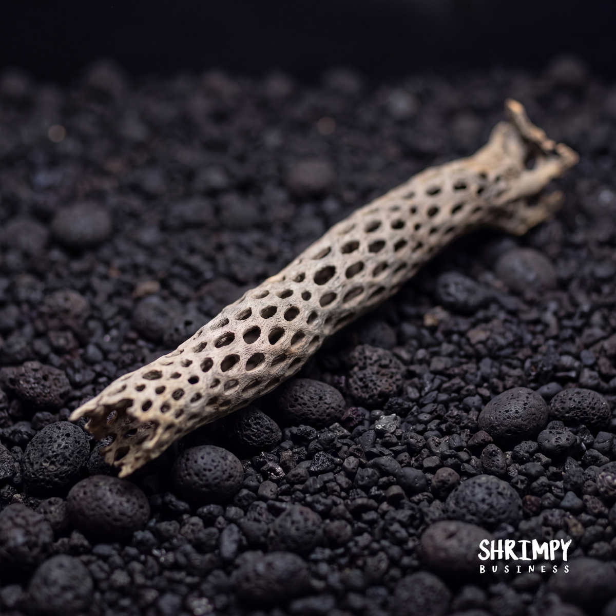 Aquarium Driftwood product image 1