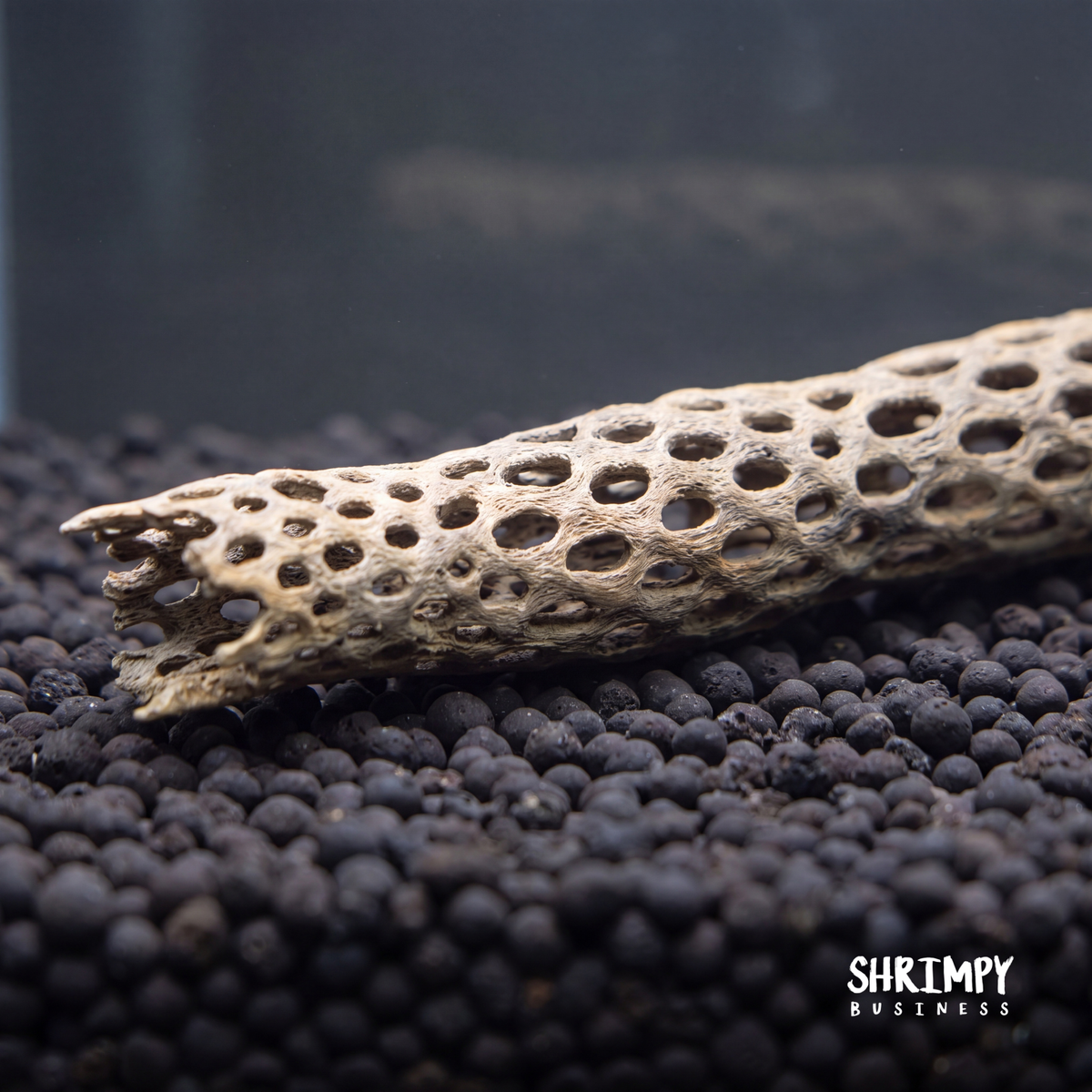 Aquarium Driftwood product image 4