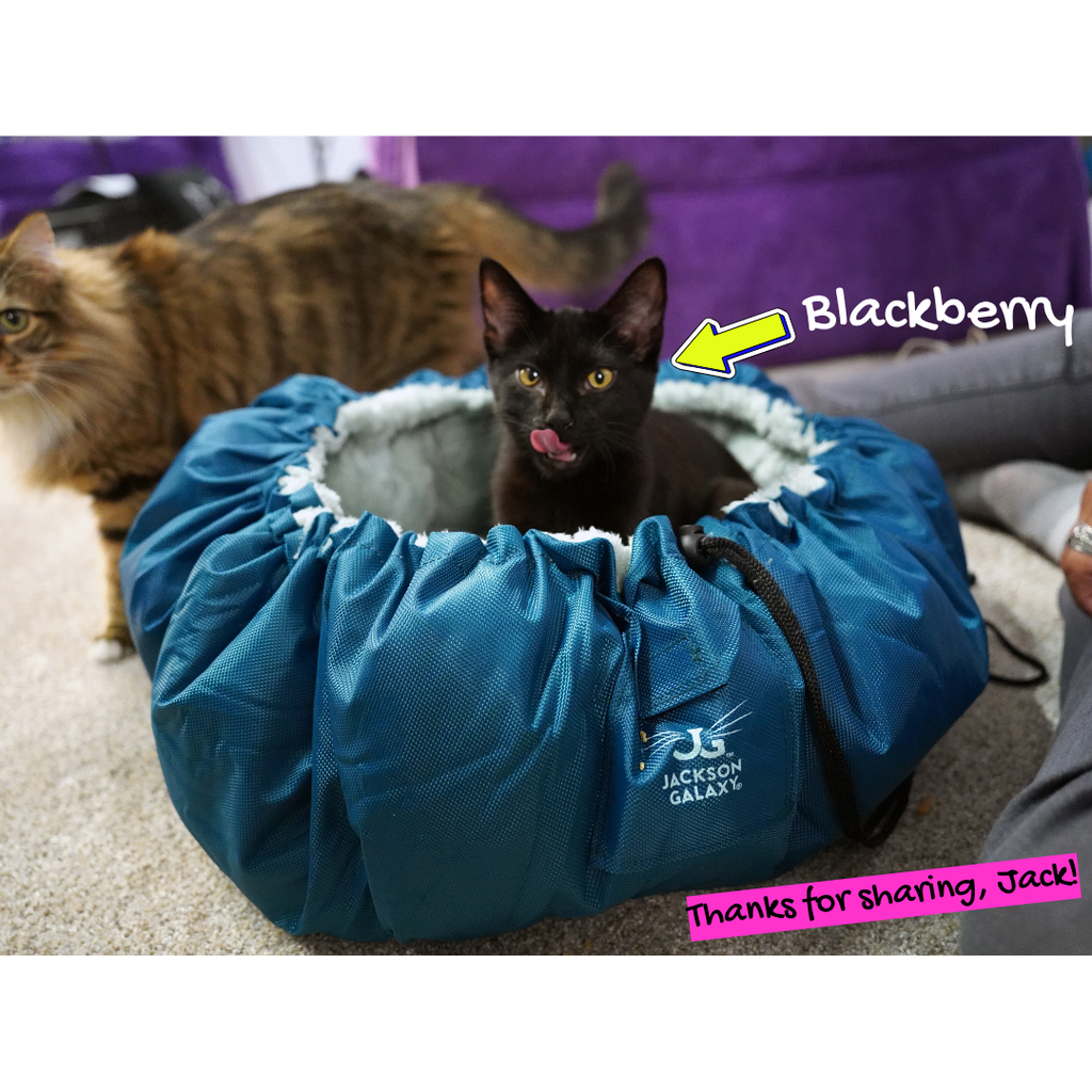 Convertible Reversible Cat Bed product image 12