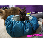 Convertible Reversible Cat Bed product image 12