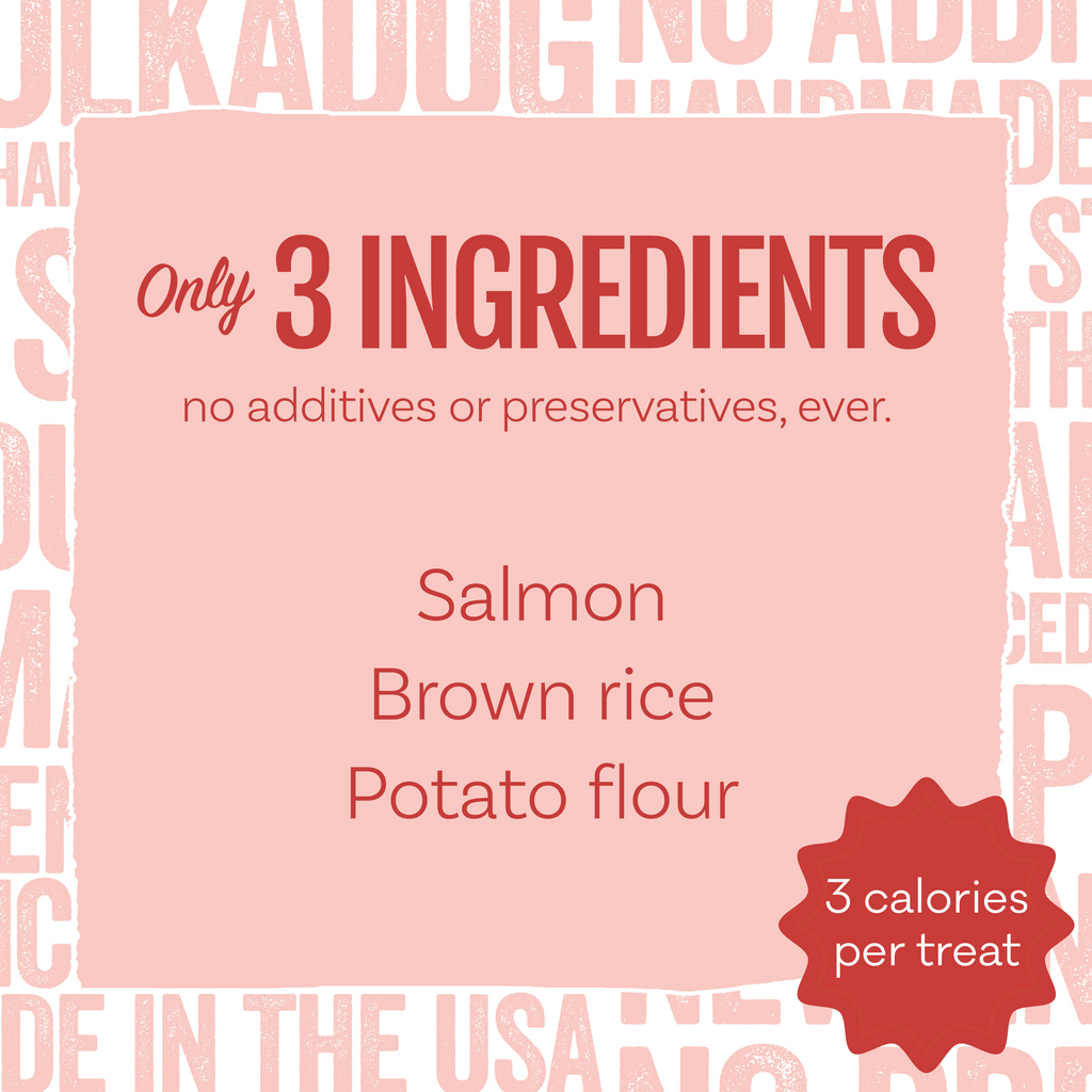 Polkadog Salmon Says Training Bits product image 3