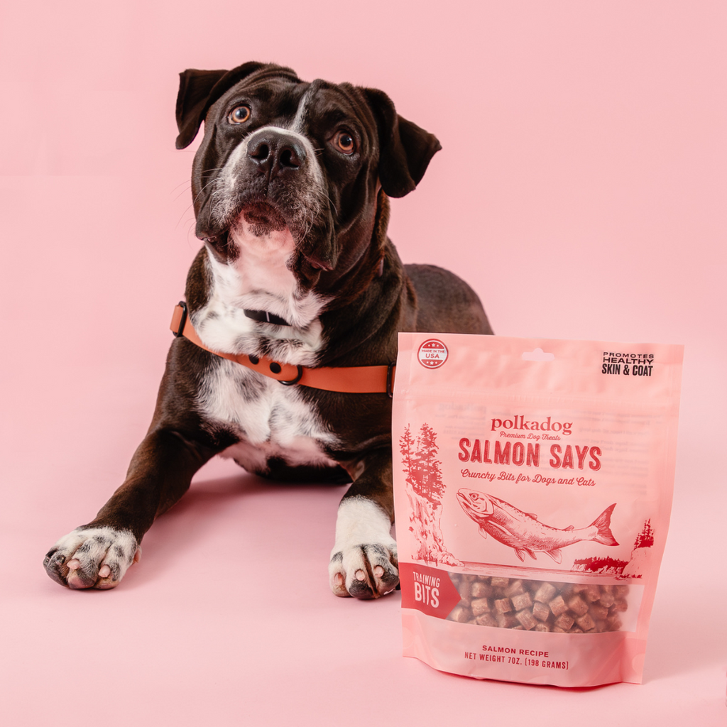Polkadog Salmon Says Training Bits packaging on a pink background