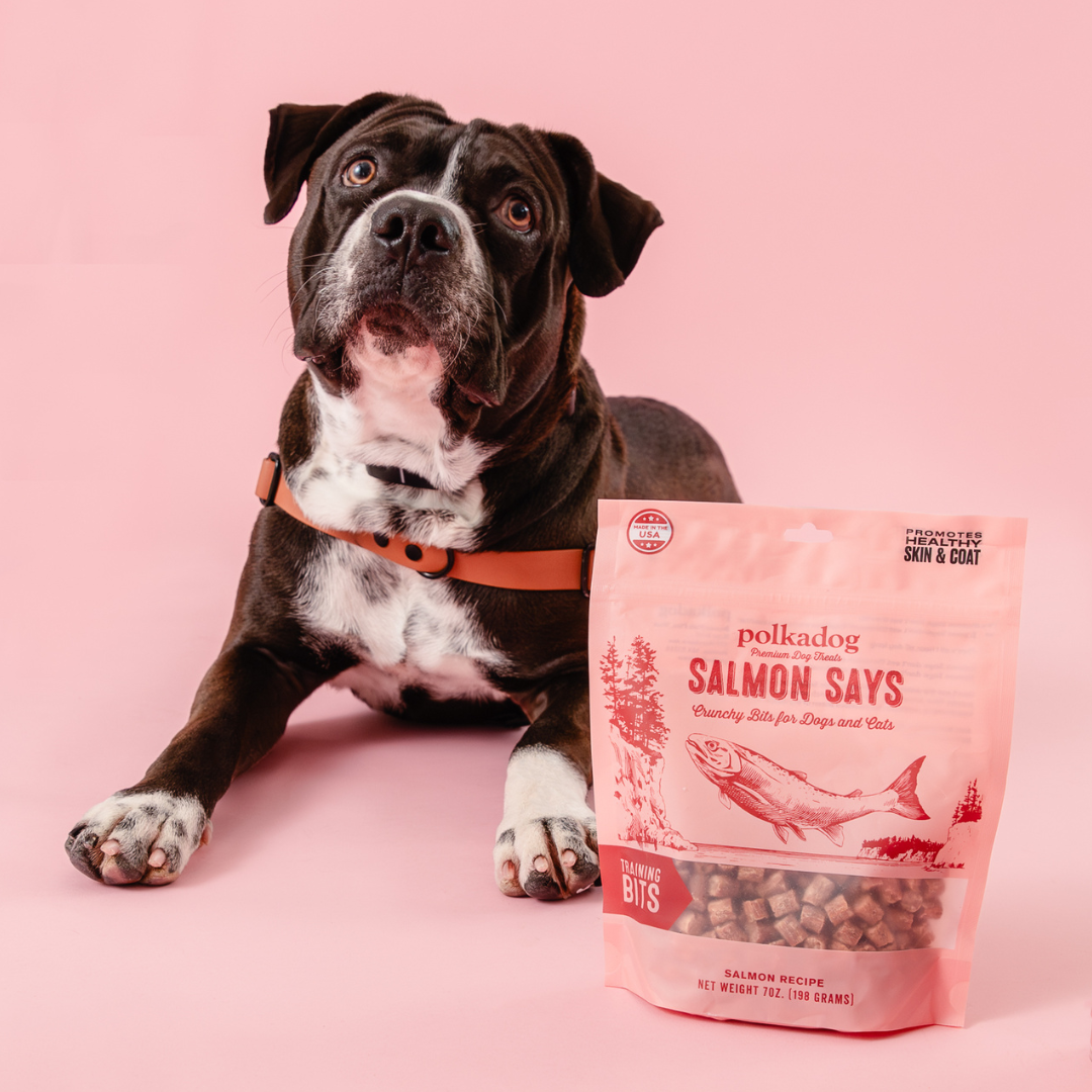 Polkadog Salmon Says Training Bits packaging on a pink background