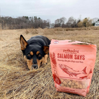 Polkadog Salmon Says Training Bits product image 6