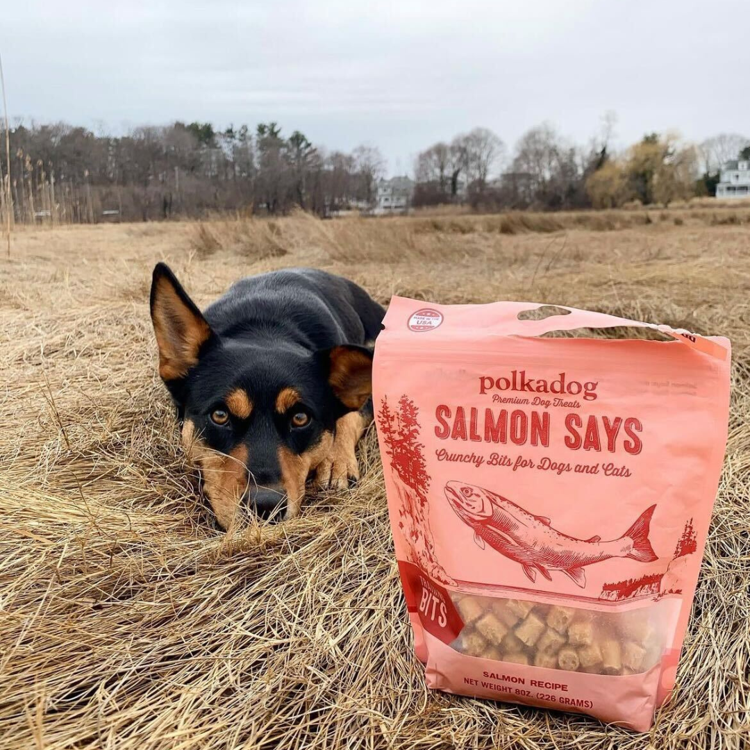 Polkadog Salmon Says Training Bits product image 6