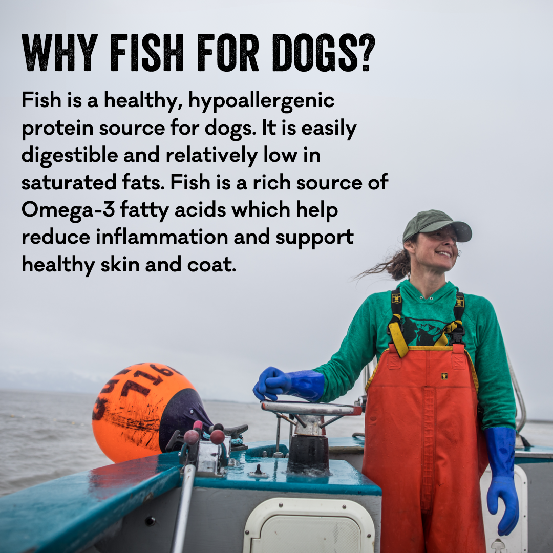 Polkadog Salmon Says Training Bits product image 9