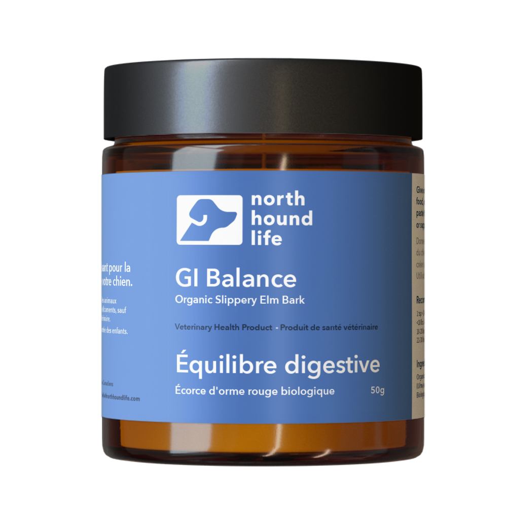 Dog Digestive Supplement product image 1