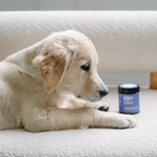 Dog Digestive Supplement product image 2