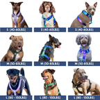 No-Pull Dog Harness product image 6
