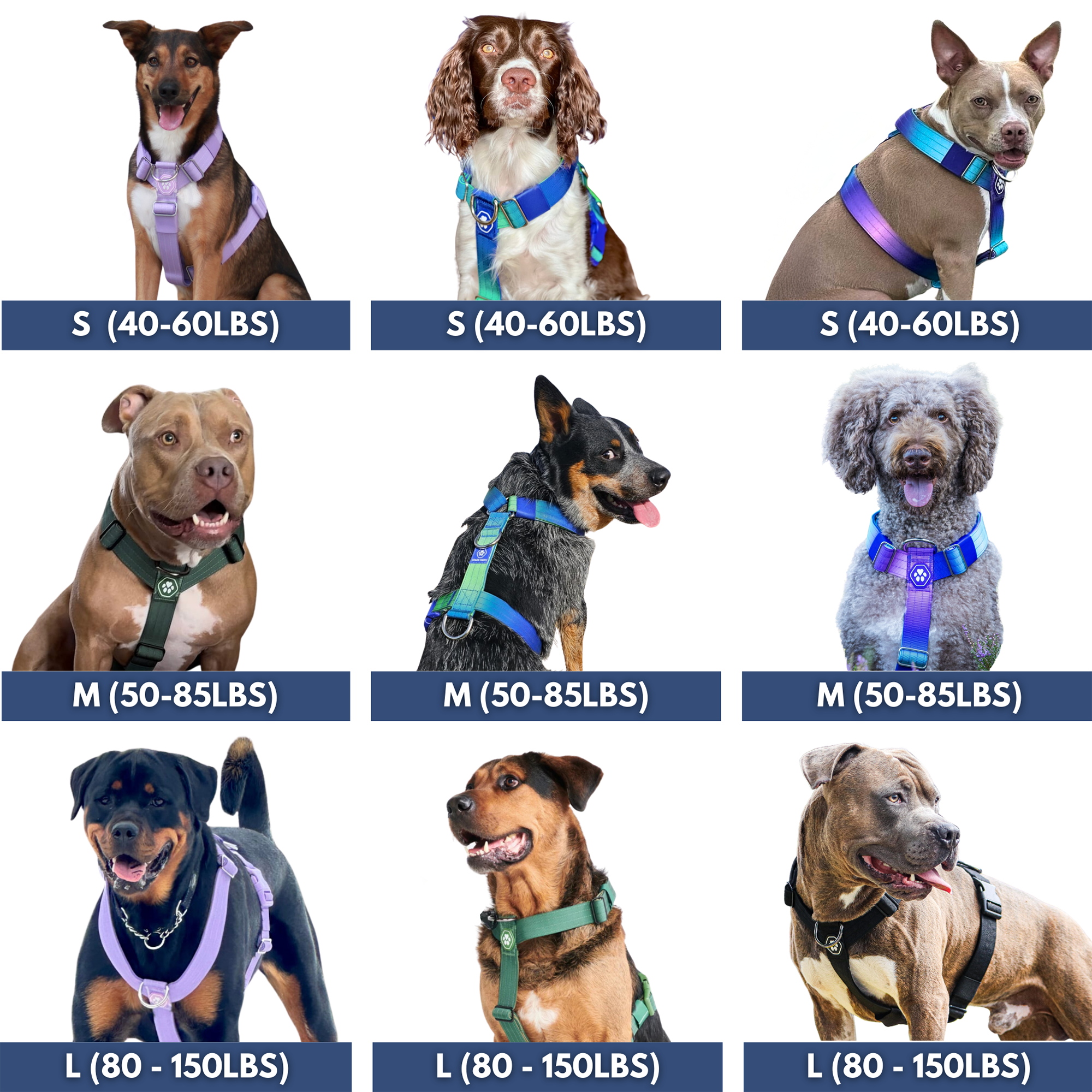 No-Pull Dog Harness product image 6