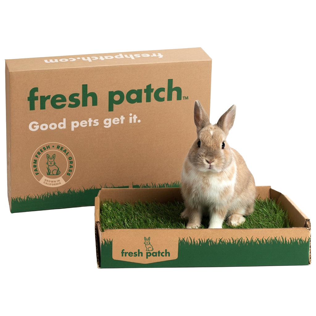 Rabbit Grass Pad product image 1