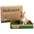 Rabbit Grass Pad product image 1