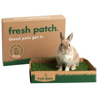 Rabbit Grass Pad product image 1