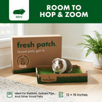 Rabbit Grass Pad product image 2