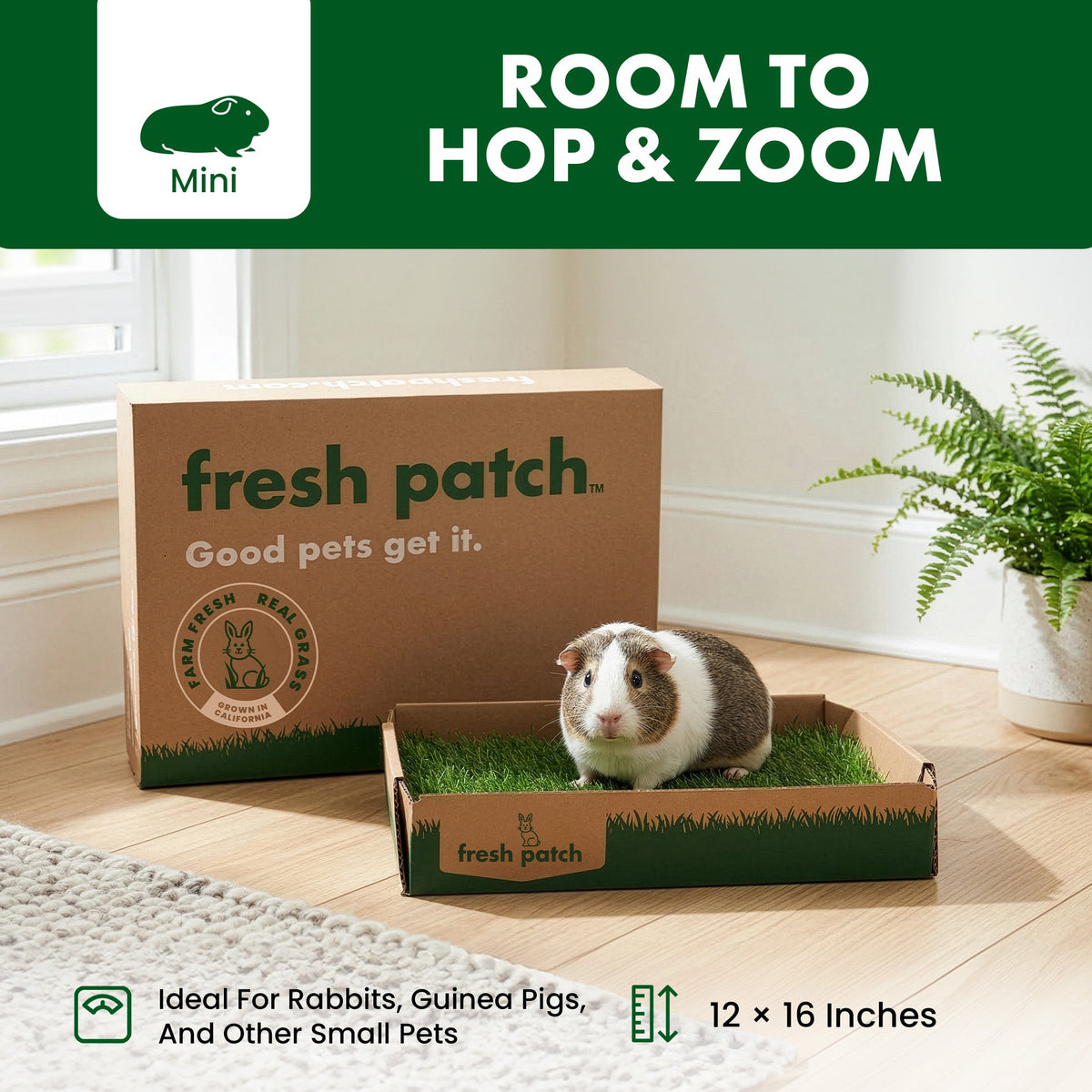 Rabbit Grass Pad product image 2