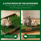 Rabbit Grass Pad product image 4