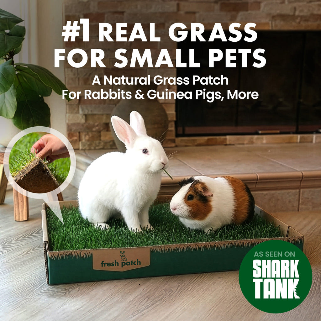 Rabbit Grass Pad product image 5