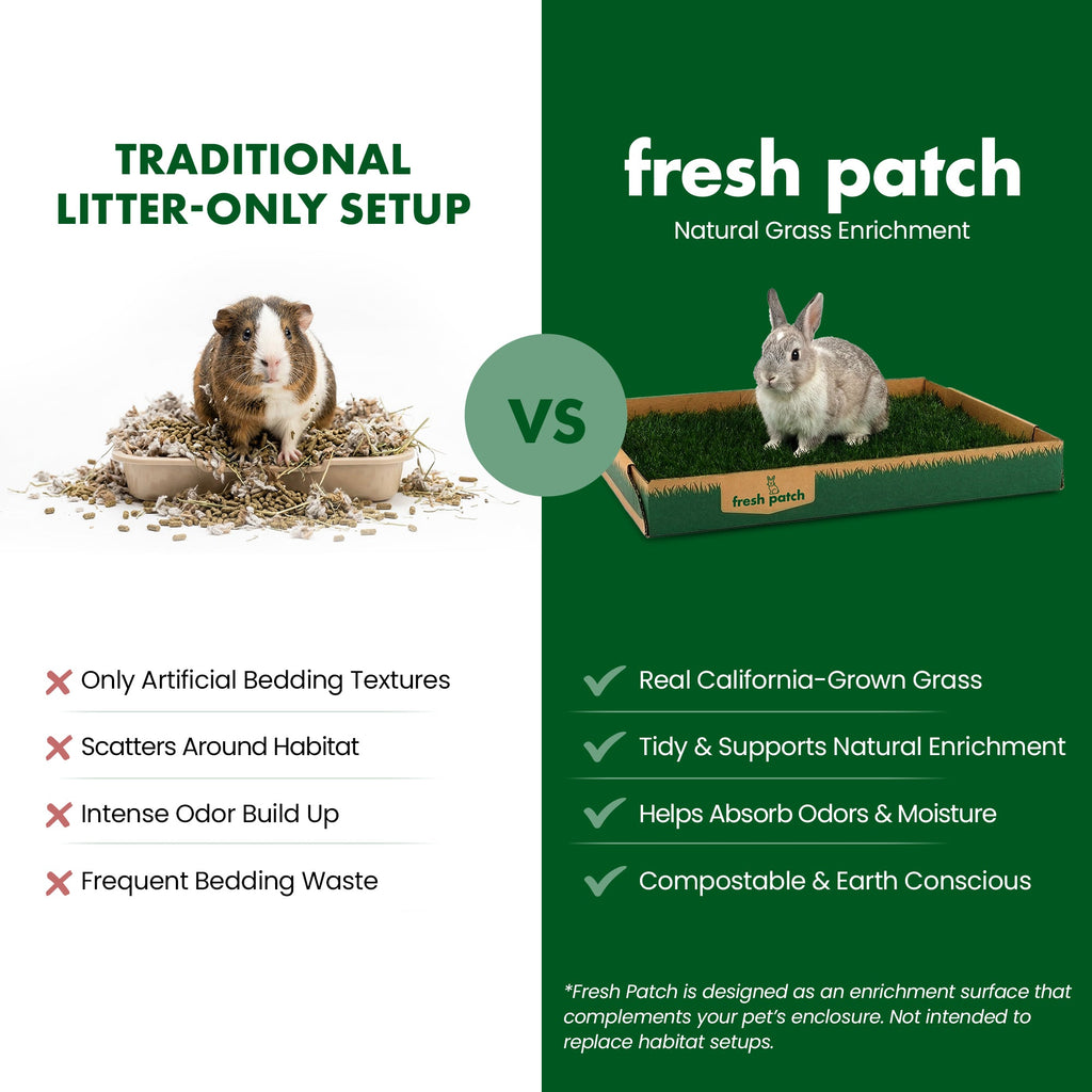 Rabbit Grass Pad product image 6