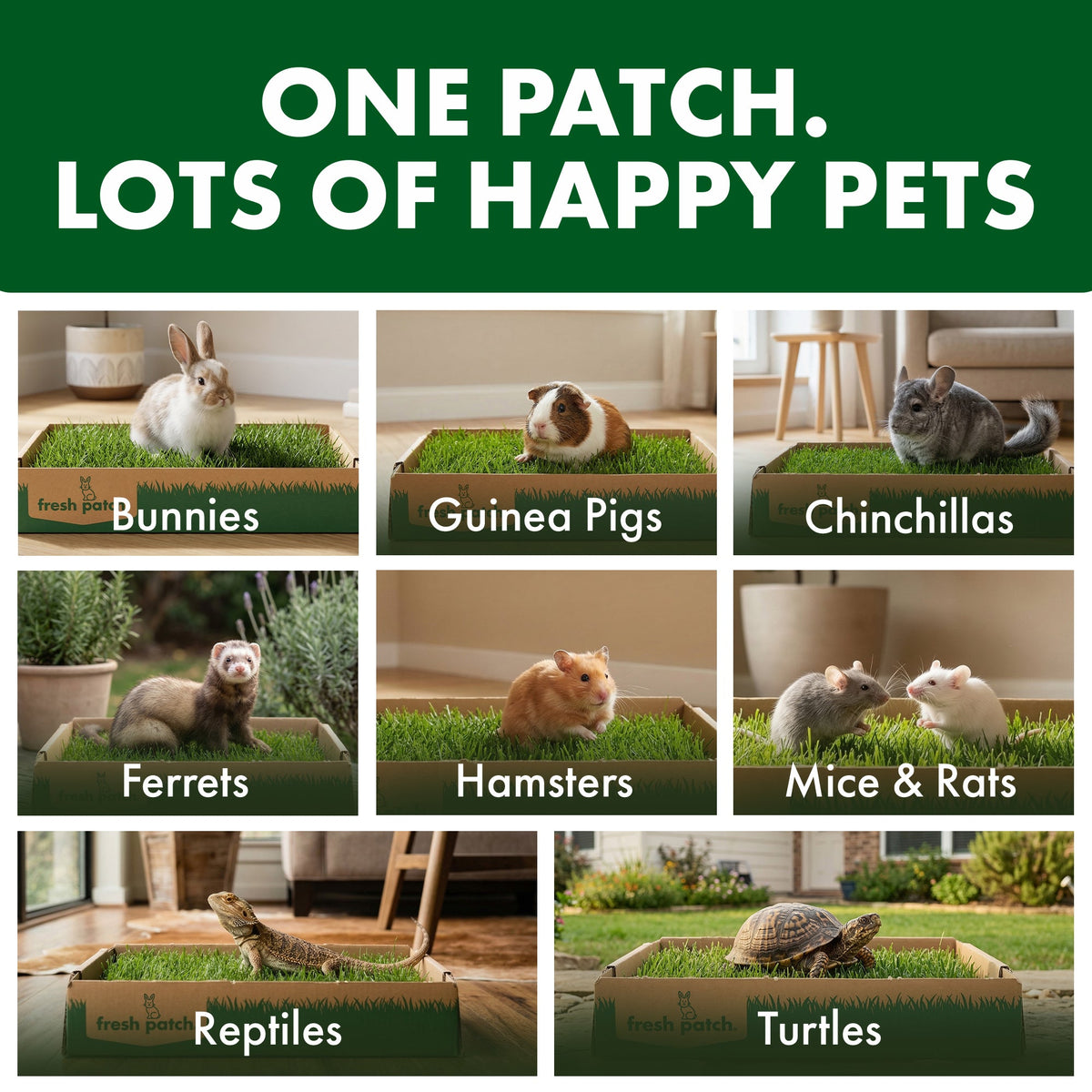 Rabbit Grass Pad product image 7