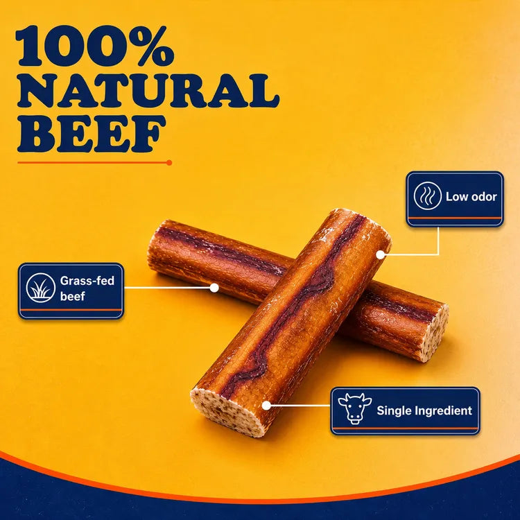 Dog Bully Stick Chews product image 3