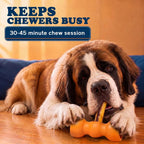 Dog Bully Stick Chews product image 5
