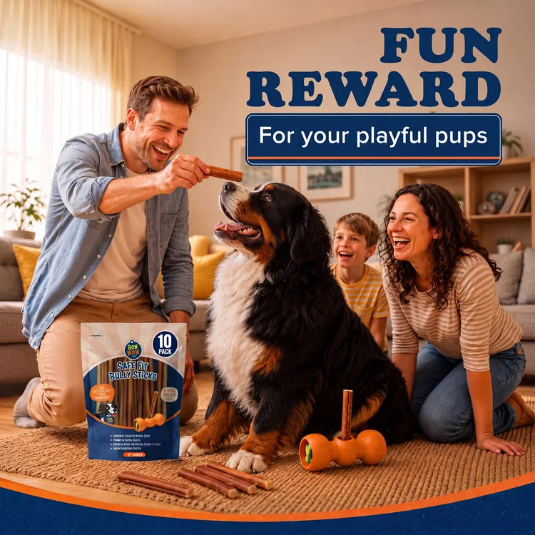 Dog Bully Stick Chews product image 6