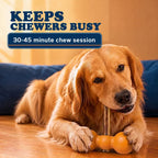 Dog Bully Stick Chews product image 12