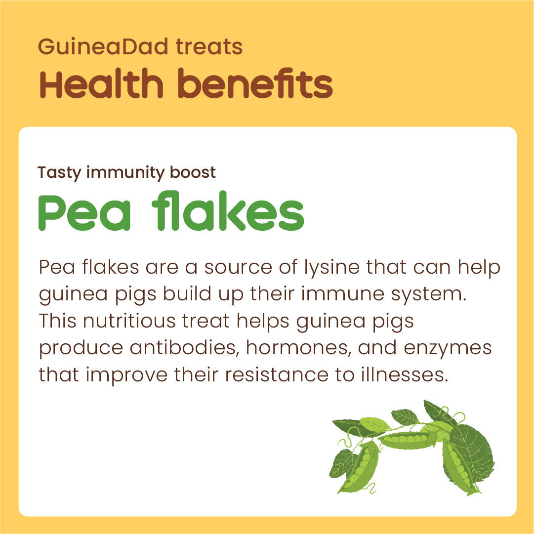 Pea Flake Guinea Pig Treats product image 6