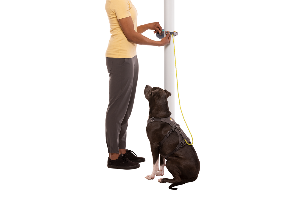 Adjustable Dog Leash and Hitching System product image 34