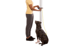 Adjustable Dog Leash and Hitching System product image 34