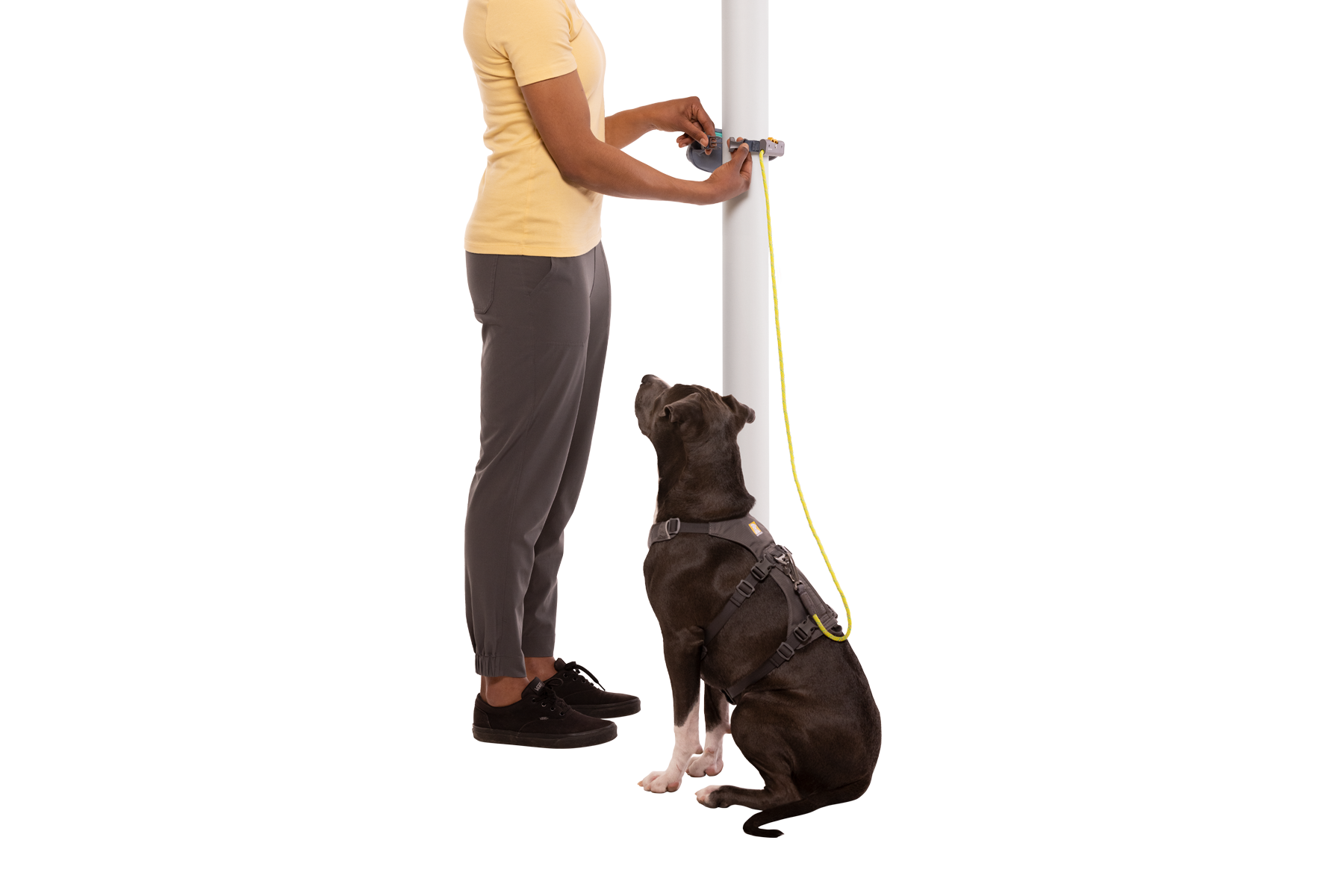 Adjustable Dog Leash and Hitching System product image 34