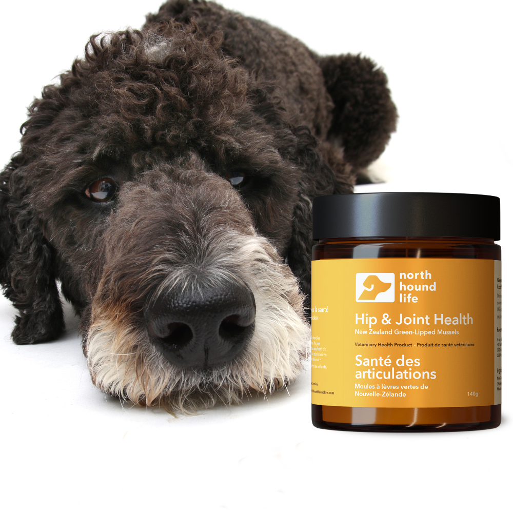 Dog Joint Supplement product image 6