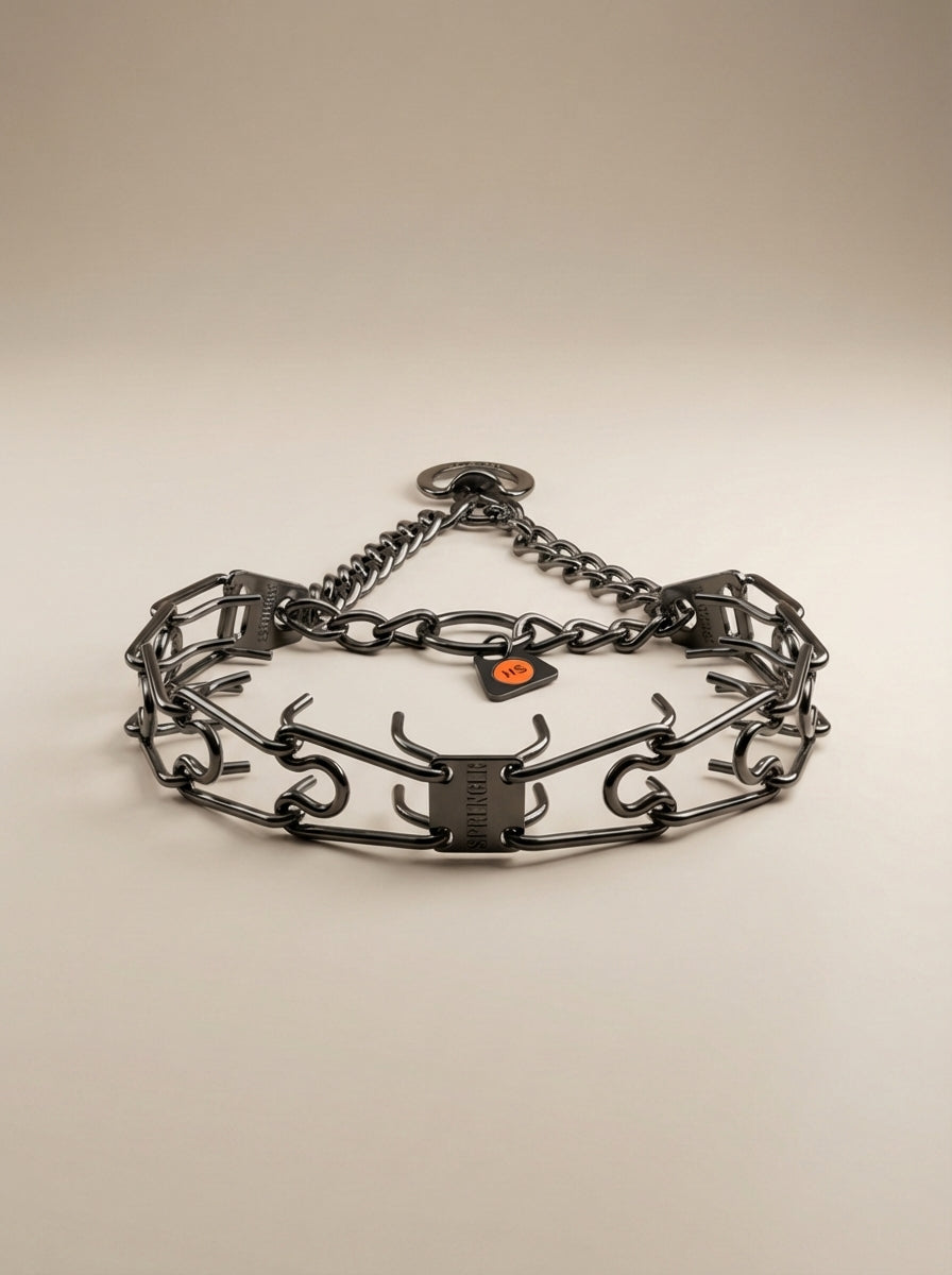 Dog Prong Collar product image 2