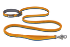 Hands-Free Bungee Dog Leash product image 1