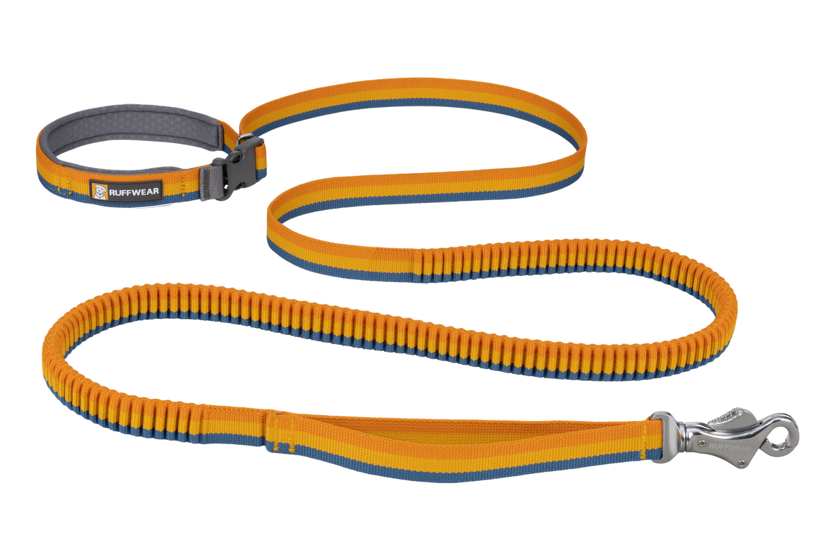 Hands-Free Bungee Dog Leash product image 1