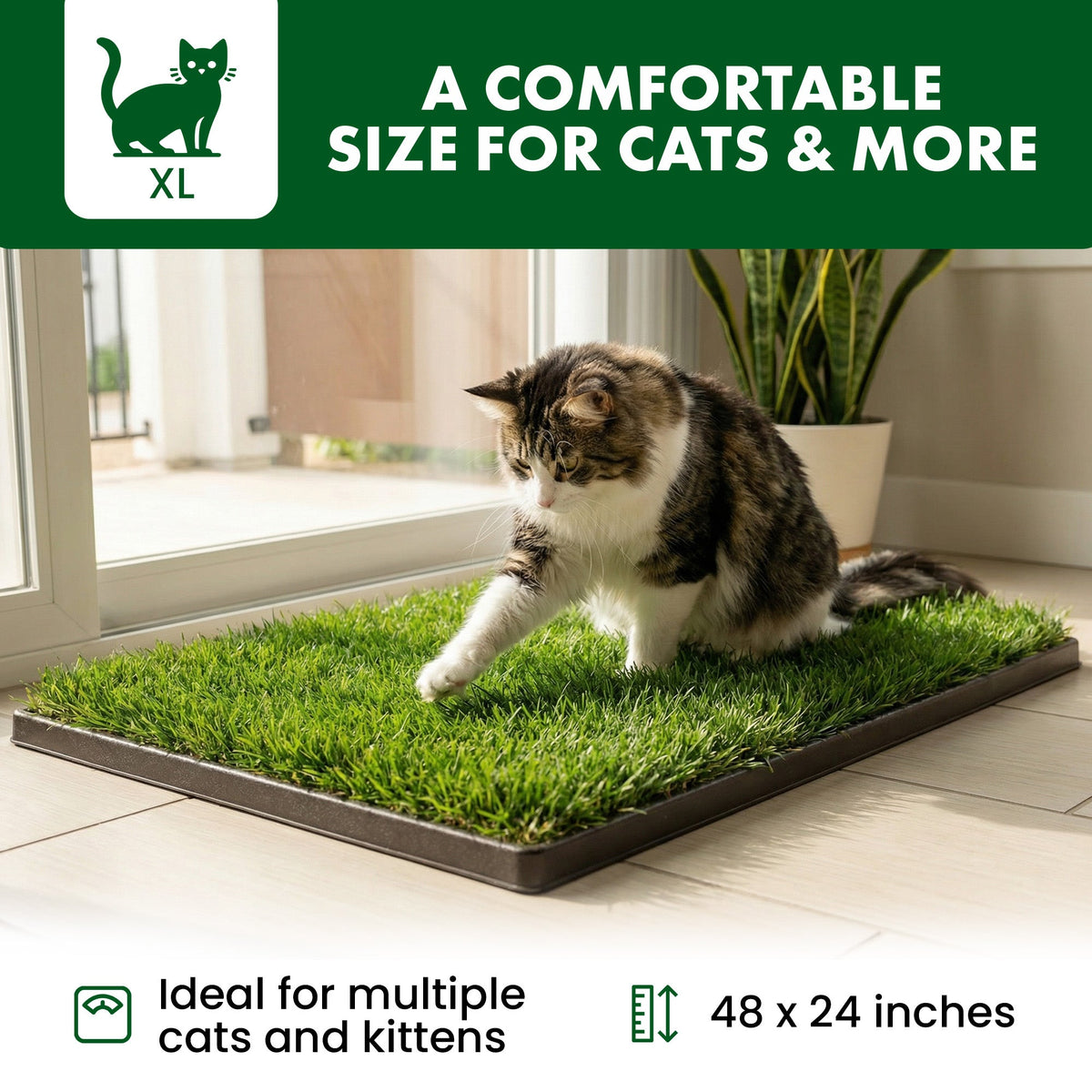 Cat Grass Pads product image 3