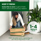 Cat Grass Pads product image 4
