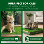 Cat Grass Pads product image 6