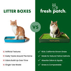 Cat Grass Pads product image 7