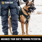 Freeze-Dried Dog Treat Bites product image 9