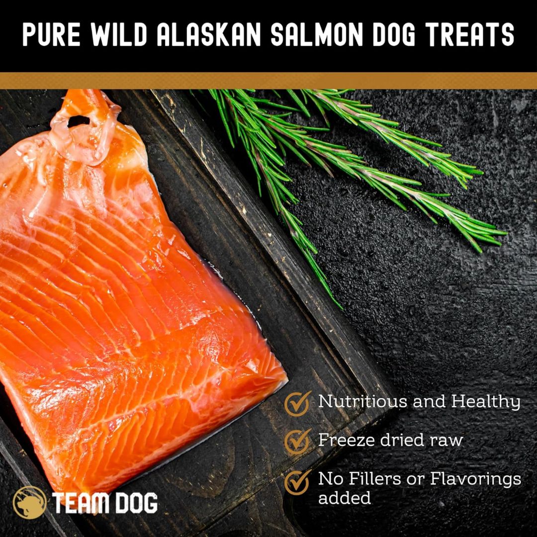 Freeze-Dried Salmon Dog Treat product image 3