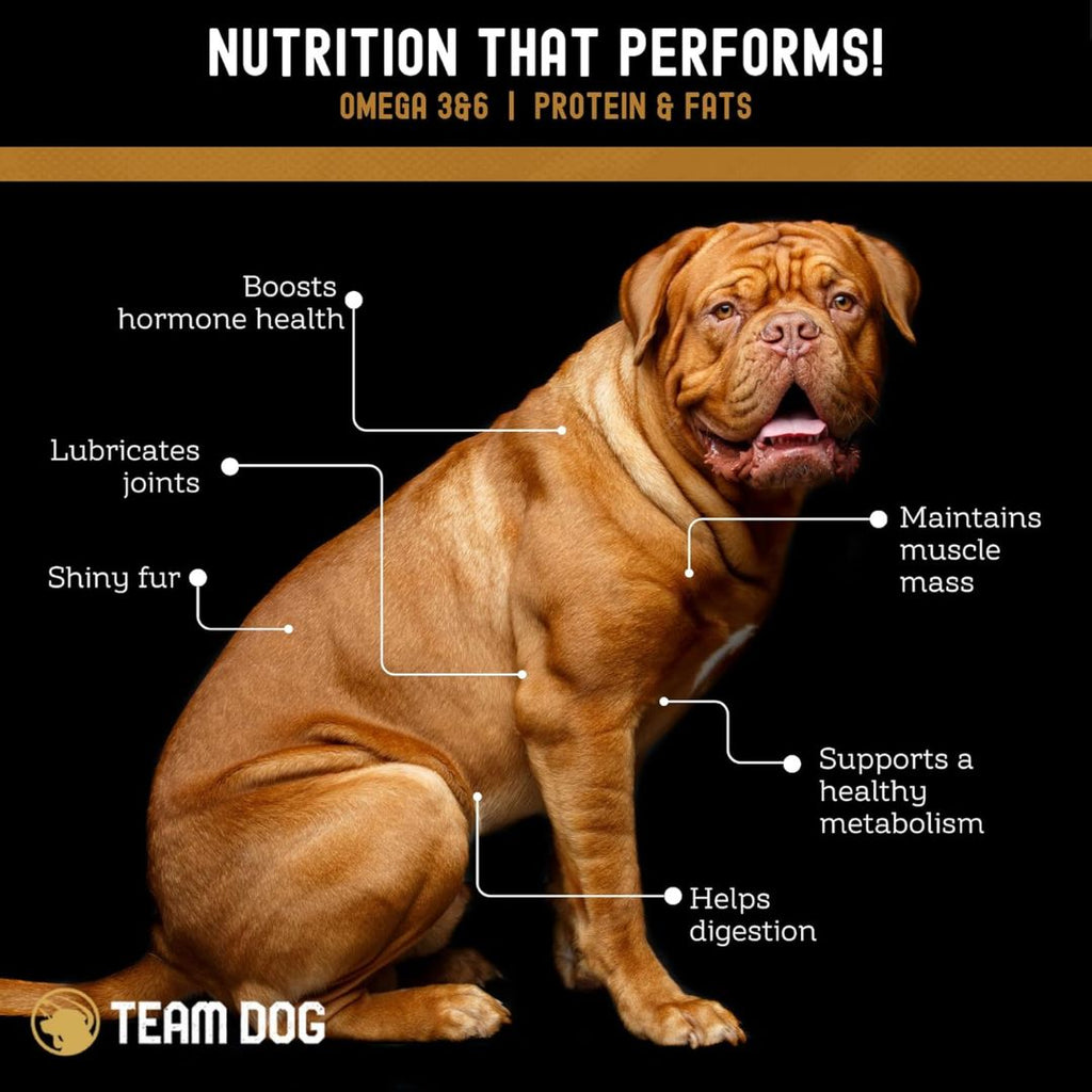 Freeze-Dried Salmon Dog Treat product image 6