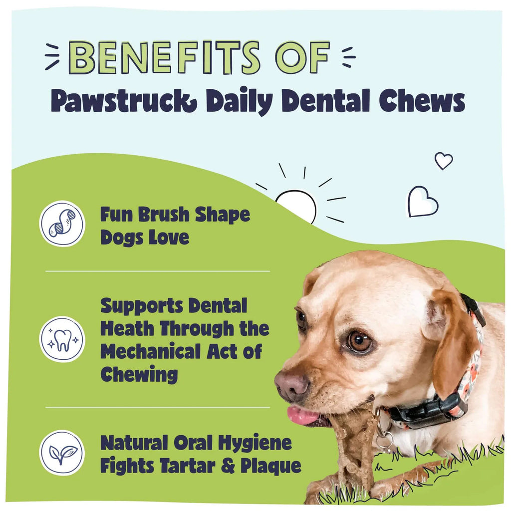 Daily Dental Chew Brush product image 3